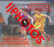 Load image into Gallery viewer, Alexander Berkis Westgate Game Photo Catalogue