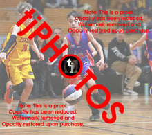 Load image into Gallery viewer, James Johnson Westgate Game Photo Catalogue