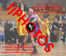 Load image into Gallery viewer, James Johnson Westgate Game Photo Catalogue