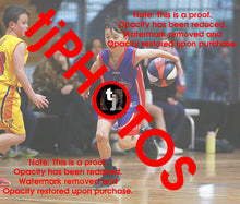 Load image into Gallery viewer, James Johnson Westgate Game Photo Catalogue