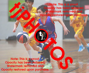 Alexander Berkis Westgate Game Photo Catalogue