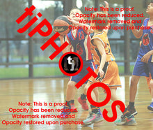 Load image into Gallery viewer, Jye Silcock Iramoo Winter 2024 Game Photo Catalogue