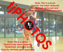 Load image into Gallery viewer, Jye Silcock Iramoo Winter 2024 Game Photo Catalogue