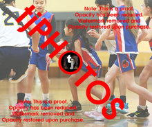 Load image into Gallery viewer, Pranavi Gautam Iramoo Winter 2024 Game Photo Catalogue