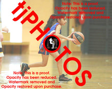 Load image into Gallery viewer, Pranavi Gautam Iramoo Winter 2024 Game Photo Catalogue