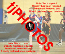 Load image into Gallery viewer, Addison Davies Iramoo Winter 2024 Game Photo Catalogue