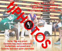 Load image into Gallery viewer, Nash Jolley Iramoo Winter 2024 Game Photo Catalogue