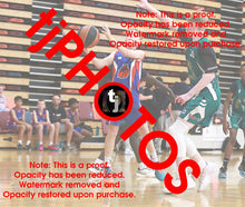 Load image into Gallery viewer, Nash Jolley Iramoo Winter 2024 Game Photo Catalogue