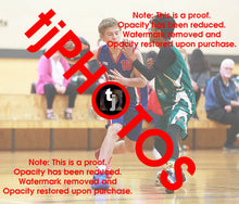 Load image into Gallery viewer, Mason Bretherton Iramoo Winter 2024 Game Photo Catalogue