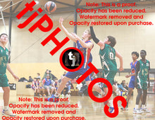 Load image into Gallery viewer, Mason Bretherton Iramoo Winter 2024 Game Photo Catalogue