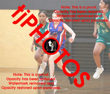 Load image into Gallery viewer, Madison Urch Iramoo Winter 2024 Game Photo Catalogue