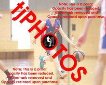 Load image into Gallery viewer, Nash Jolley Iramoo Winter 2024 Game Photo Catalogue