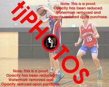 Load image into Gallery viewer, Nash Jolley Iramoo Winter 2024 Game Photo Catalogue