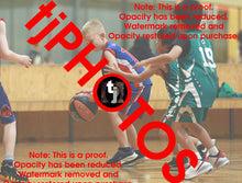 Load image into Gallery viewer, Jacob Wojniusz Iramoo Winter 2024 Game Photo Catalogue