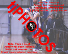 Load image into Gallery viewer, Nash Minas Westgate Game Photo Catalogue