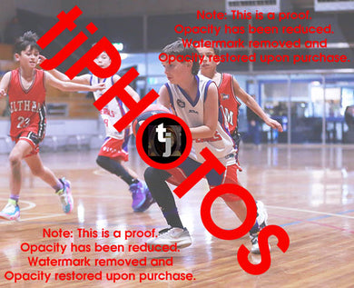 Jed Cassar Westgate Game Photo Catalogue