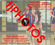 Load image into Gallery viewer, Jasleen Waraich Iramoo Winter 2024 Game Photo Catalogue