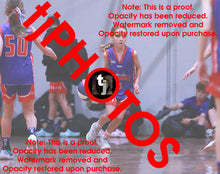 Load image into Gallery viewer, Mila Tutorov Westgate Game Photo Catalogue