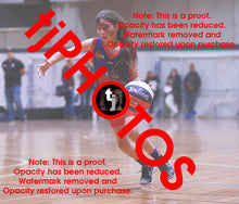 Load image into Gallery viewer, Nisha Pandya Westgate Game Photo Catalogue