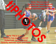 Load image into Gallery viewer, Pranavi Gautam Iramoo Winter 2024 Game Photo Catalogue