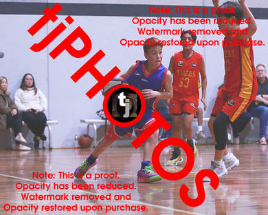 Noah Fishley Westgate Game Photo Catalogue