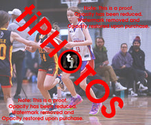 Load image into Gallery viewer, Miriam Foster Westgate Game Photo Catalogue