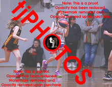 Load image into Gallery viewer, Miriam Foster Westgate Game Photo Catalogue