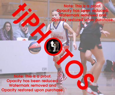 Frankie Veale Westgate Game Photo Catalogue