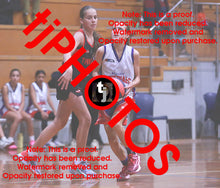 Load image into Gallery viewer, Frankie Veale Westgate Game Photo Catalogue