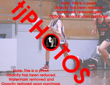 Load image into Gallery viewer, Frankie Veale Westgate Game Photo Catalogue