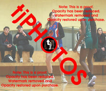 Load image into Gallery viewer, Annabella Allander Iramoo Winter 2024 Game Photo Catalogue