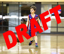 Load image into Gallery viewer, Myles Dyson Iramoo Game Photo Catalogue