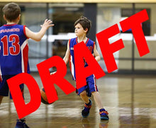 Load image into Gallery viewer, Myles Dyson Iramoo Game Photo Catalogue