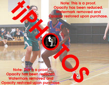 Load image into Gallery viewer, Bridgette Sawyer Iramoo Winter 2024 Game Photo Catalogue