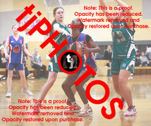 Load image into Gallery viewer, Bridgette Sawyer Iramoo Winter 2024 Game Photo Catalogue