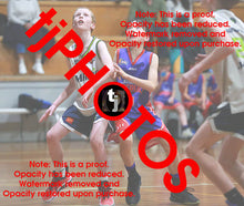 Load image into Gallery viewer, James Johnson Westgate Game Photo Catalogue