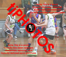 Load image into Gallery viewer, James Johnson Westgate Game Photo Catalogue