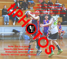 Load image into Gallery viewer, Alexander Berkis Westgate Game Photo Catalogue