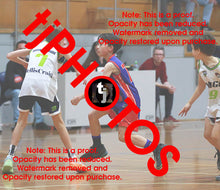 Load image into Gallery viewer, James Johnson Westgate Game Photo Catalogue