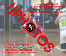 Load image into Gallery viewer, Alexander Berkis Westgate Game Photo Catalogue