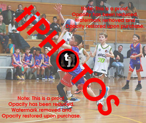 Alexander Berkis Westgate Game Photo Catalogue