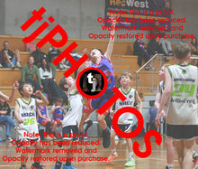 Load image into Gallery viewer, James Johnson Westgate Game Photo Catalogue