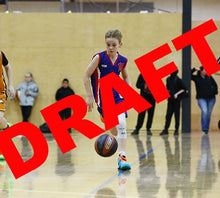 Load image into Gallery viewer, Nash Jolley Game Photo Catalogue