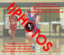 Load image into Gallery viewer, Aleeah Yeoell Iramoo Winter 2024 Game Photo Catalogue