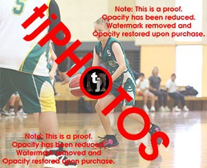 Harrison North Hoppers Game Photo Catalogue