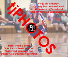 Load image into Gallery viewer, Jacob Wojniusz Iramoo Winter 2024 Game Photo Catalogue