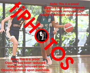 Afnan Ibrahim Hoppers Game Photo Catalogue