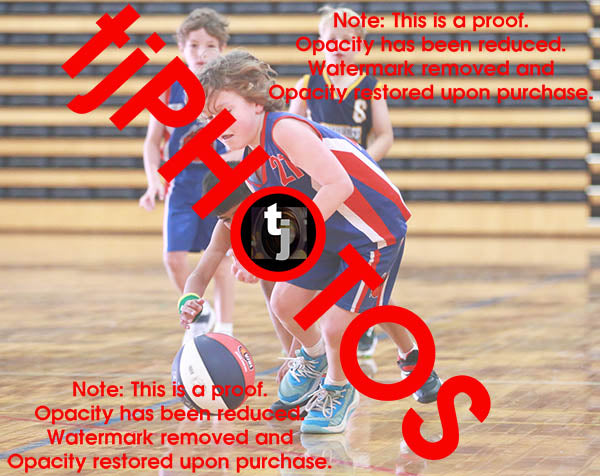 Rex Lionti Iramoo Winter 2024 Game Photo Catalogue