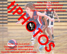 Load image into Gallery viewer, Rex Lionti Iramoo Winter 2024 Game Photo Catalogue