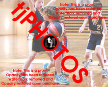 Load image into Gallery viewer, Rex Lionti Iramoo Winter 2024 Game Photo Catalogue